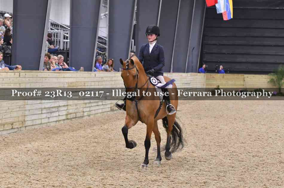 Proof 23R13_02117