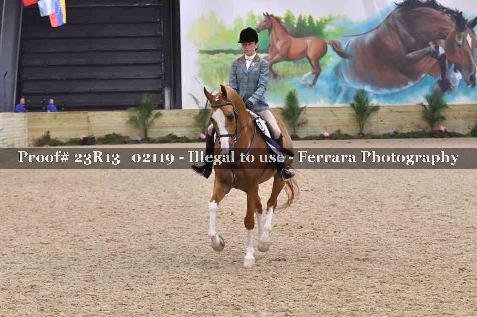 Proof 23R13_02119