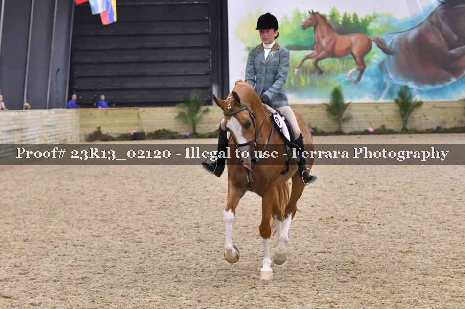 Proof 23R13_02120