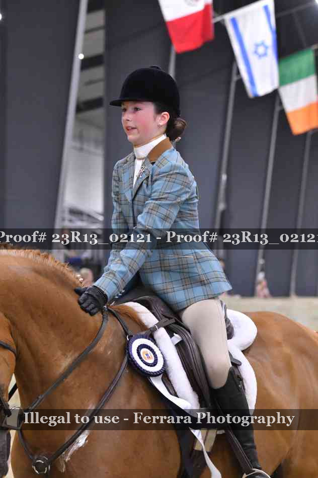 Proof 23R13_02121