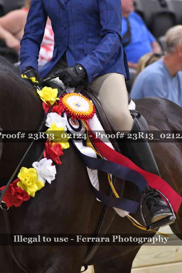 Proof 23R13_02124