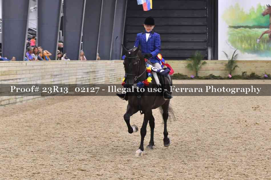Proof 23R13_02127