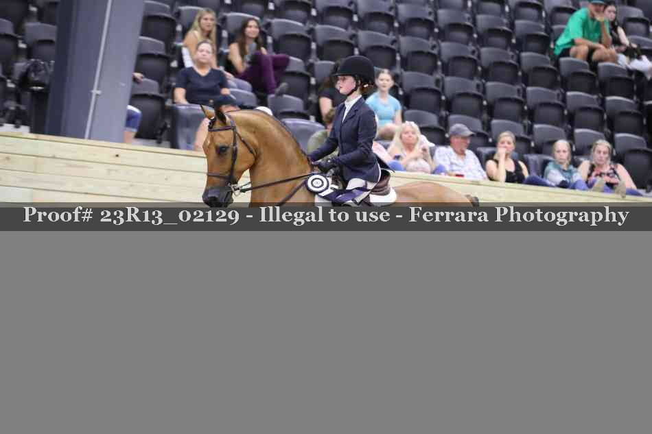 Proof 23R13_02129