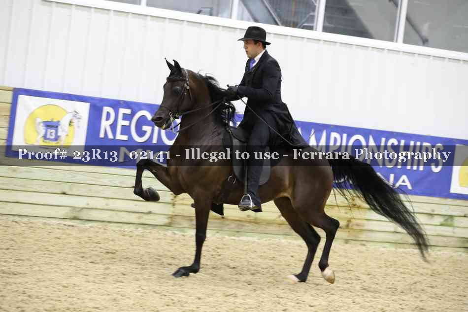 Proof 23R13_02141
