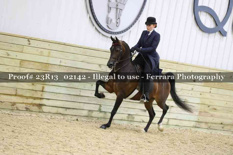 Proof 23R13_02142