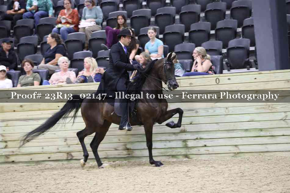 Proof 23R13_02147