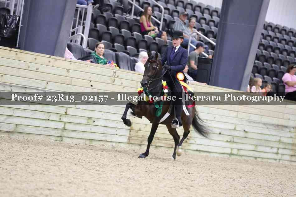Proof 23R13_02157