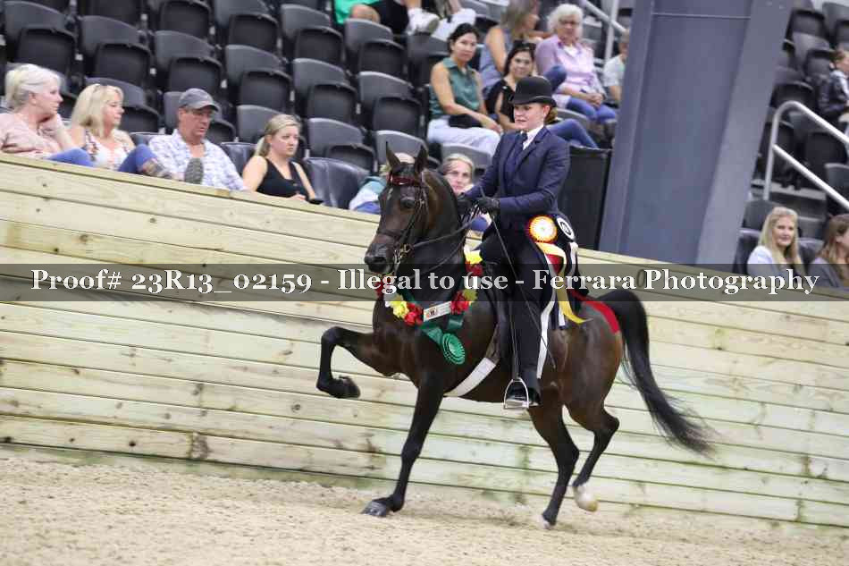 Proof 23R13_02159
