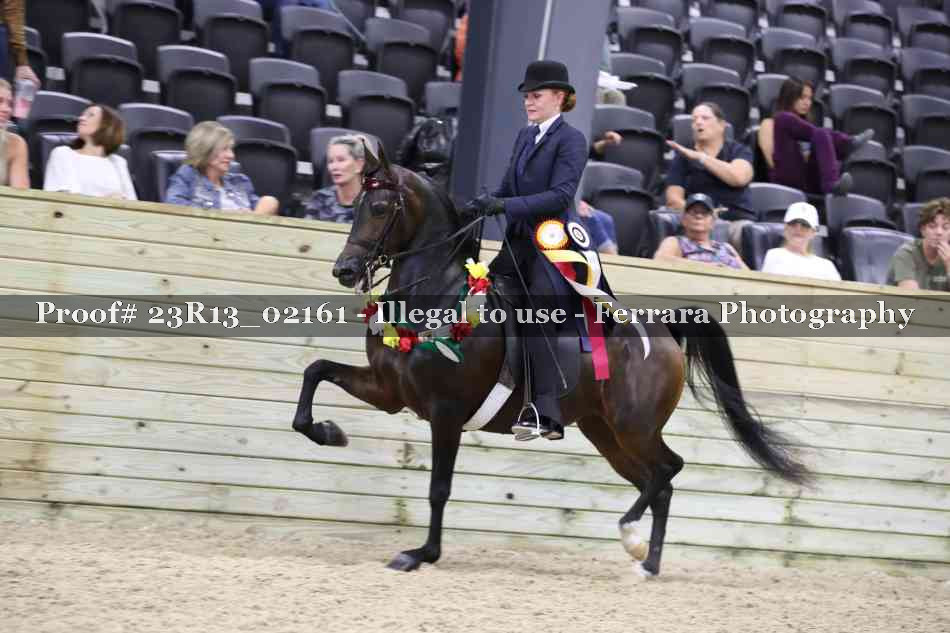 Proof 23R13_02161
