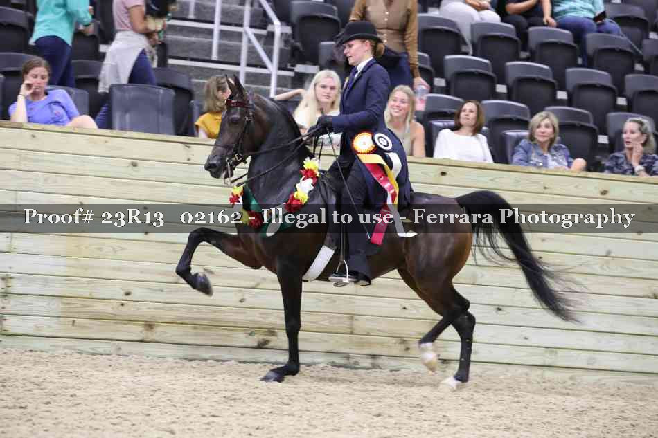 Proof 23R13_02162