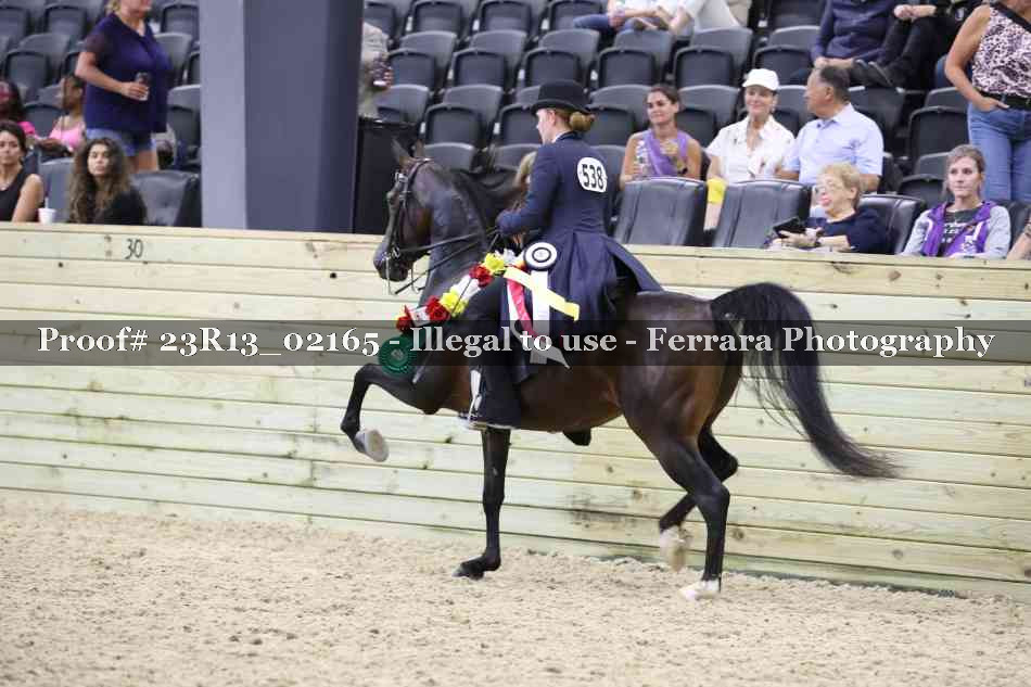 Proof 23R13_02165