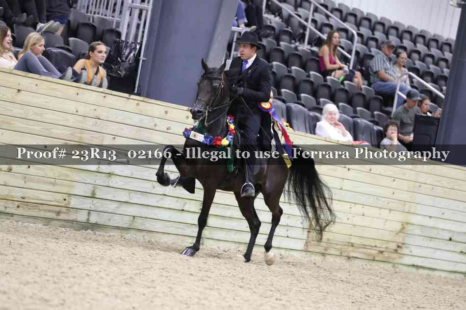 Proof 23R13_02166