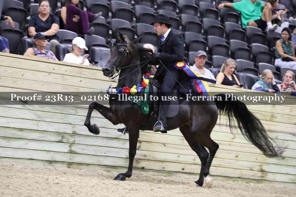 Proof 23R13_02168