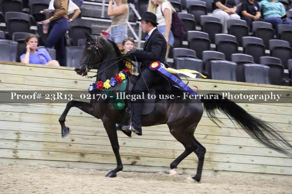 Proof 23R13_02170