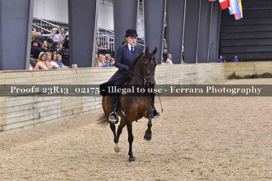 Proof 23R13_02175
