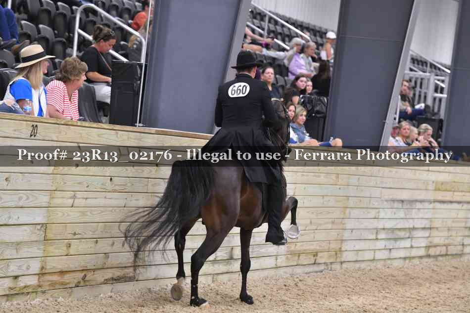 Proof 23R13_02176