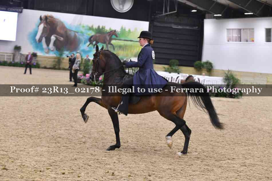 Proof 23R13_02178