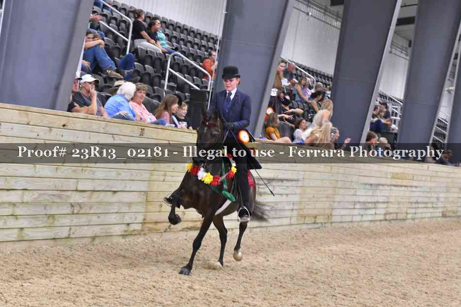 Proof 23R13_02181