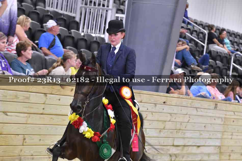 Proof 23R13_02182