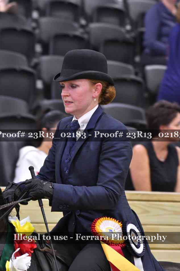 Proof 23R13_02183