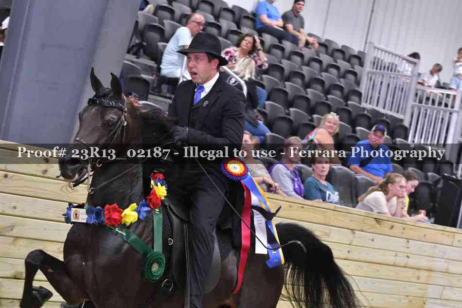 Proof 23R13_02187