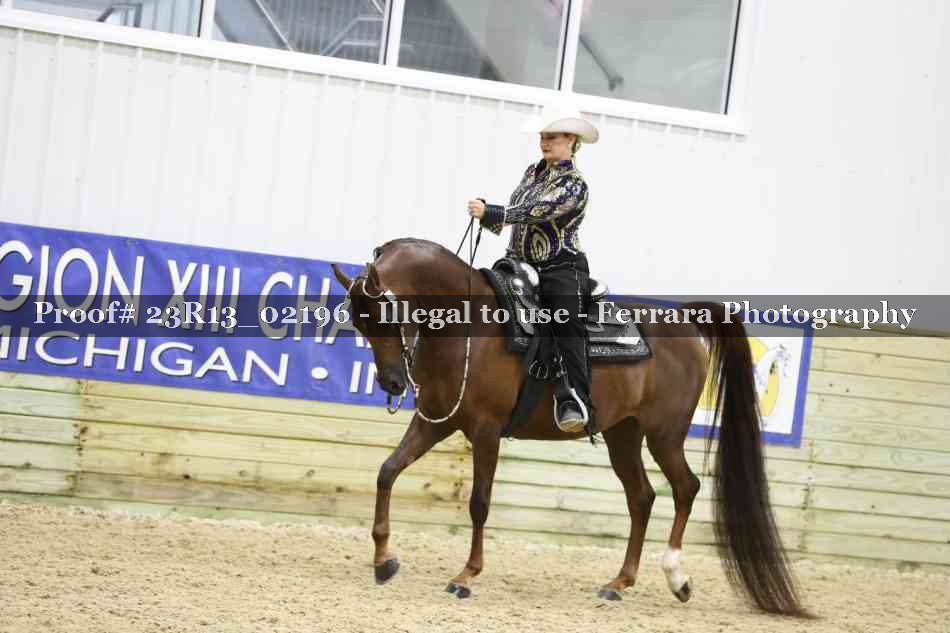 Proof 23R13_02196