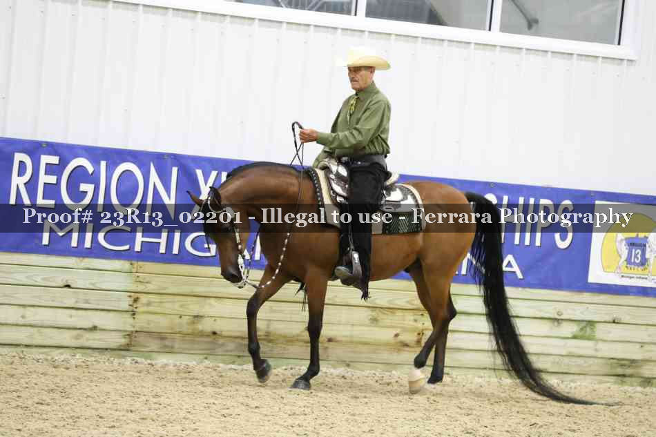Proof 23R13_02201