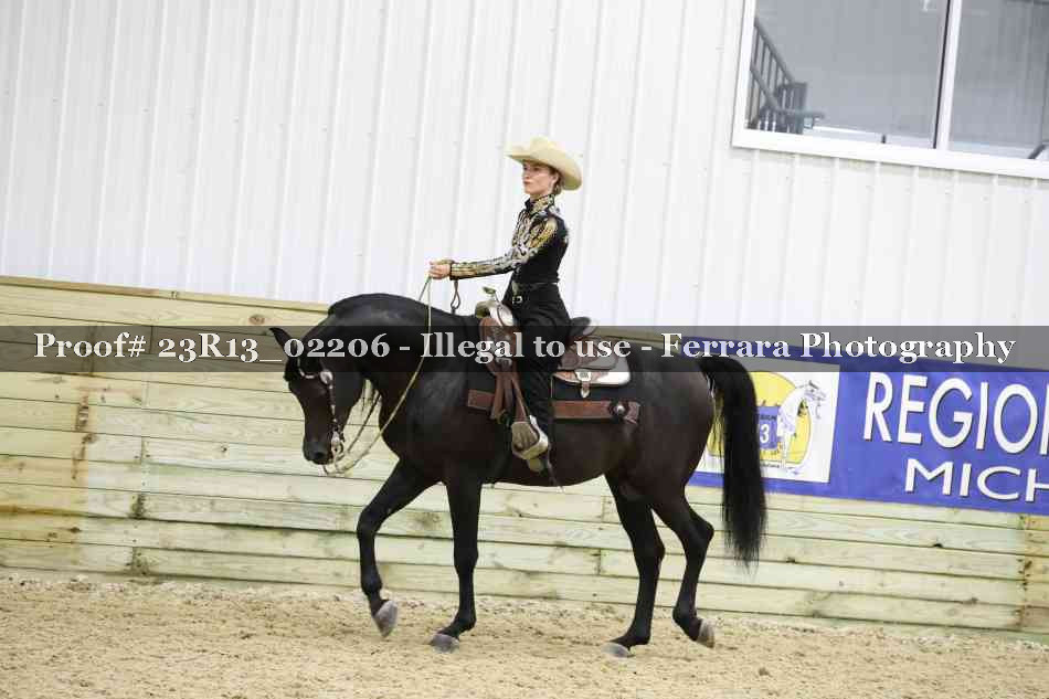 Proof 23R13_02206