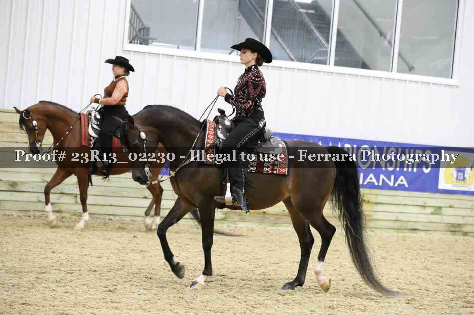 Proof 23R13_02230