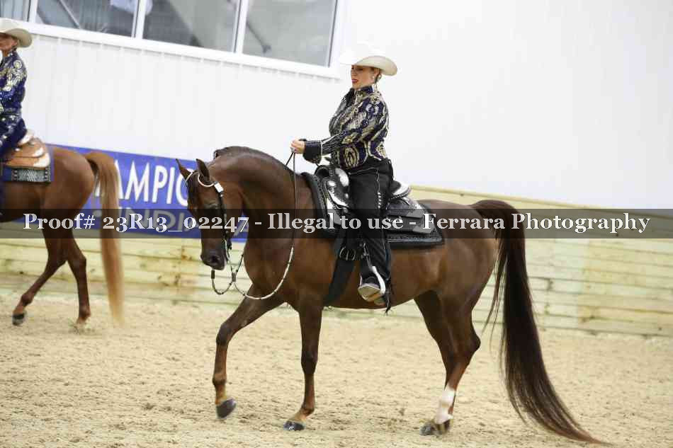 Proof 23R13_02247