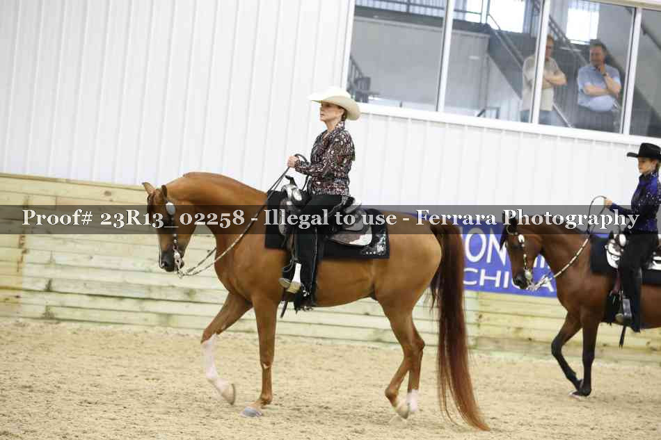 Proof 23R13_02258