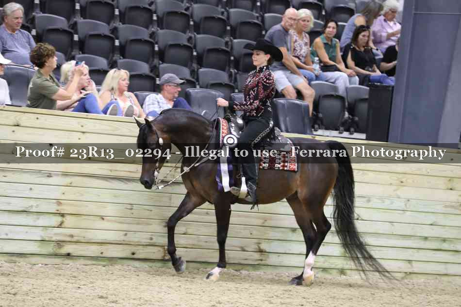 Proof 23R13_02294