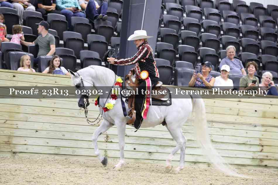 Proof 23R13_02302
