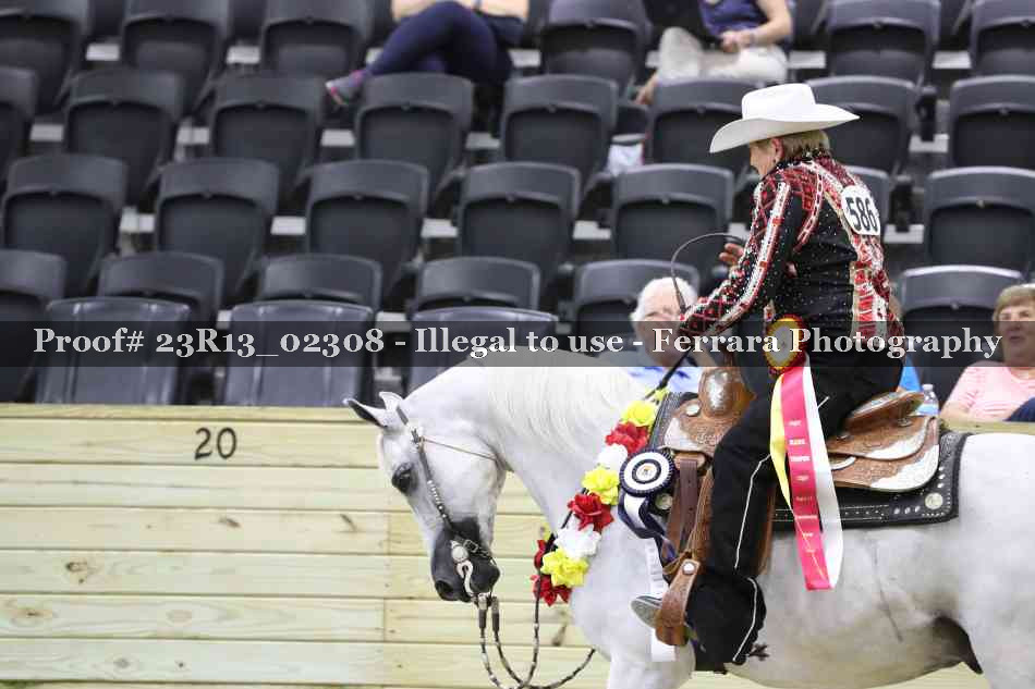 Proof 23R13_02308