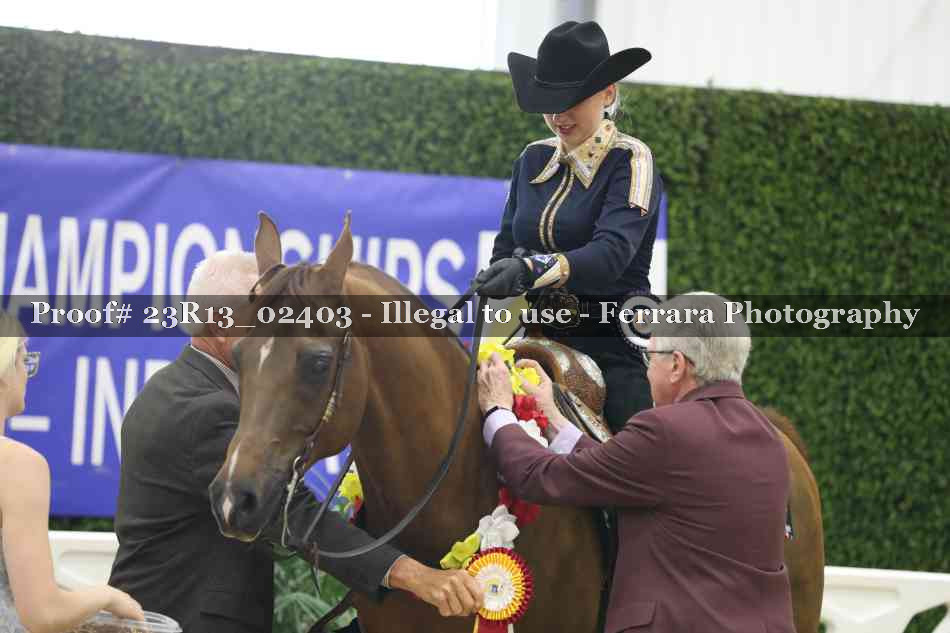 Proof 23R13_02403