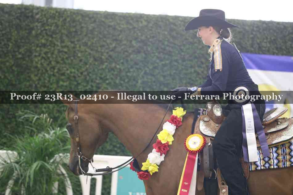 Proof 23R13_02410