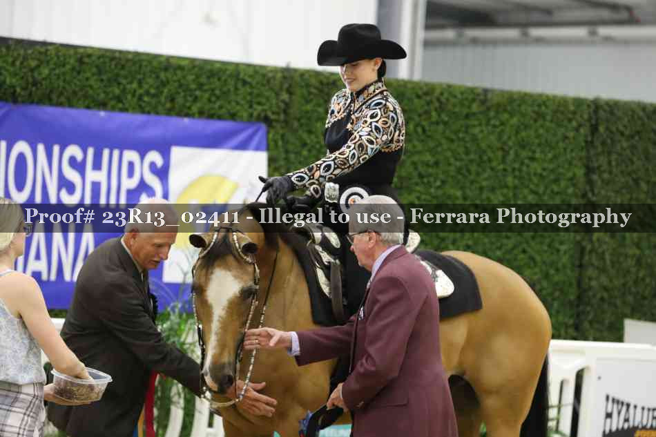 Proof 23R13_02411