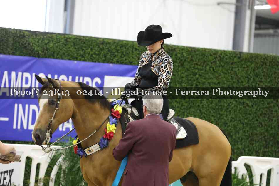 Proof 23R13_02414