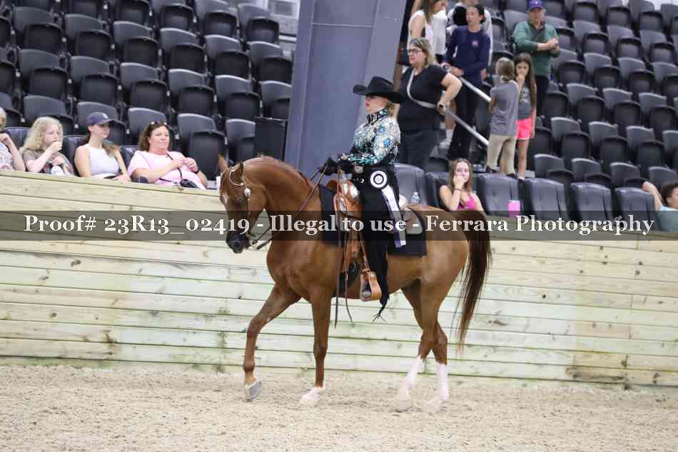 Proof 23R13_02419