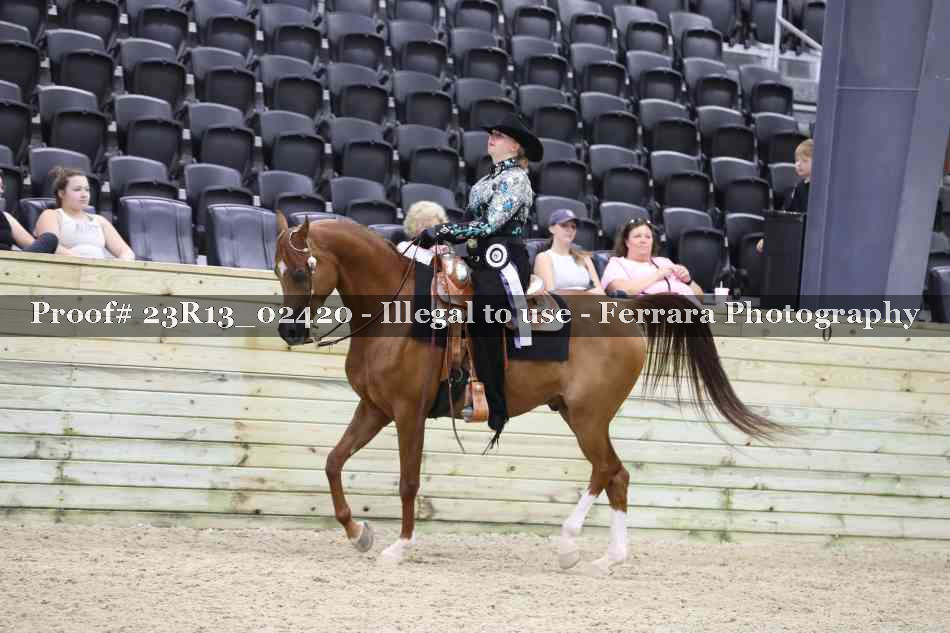 Proof 23R13_02420
