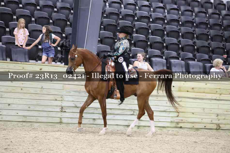 Proof 23R13_02421
