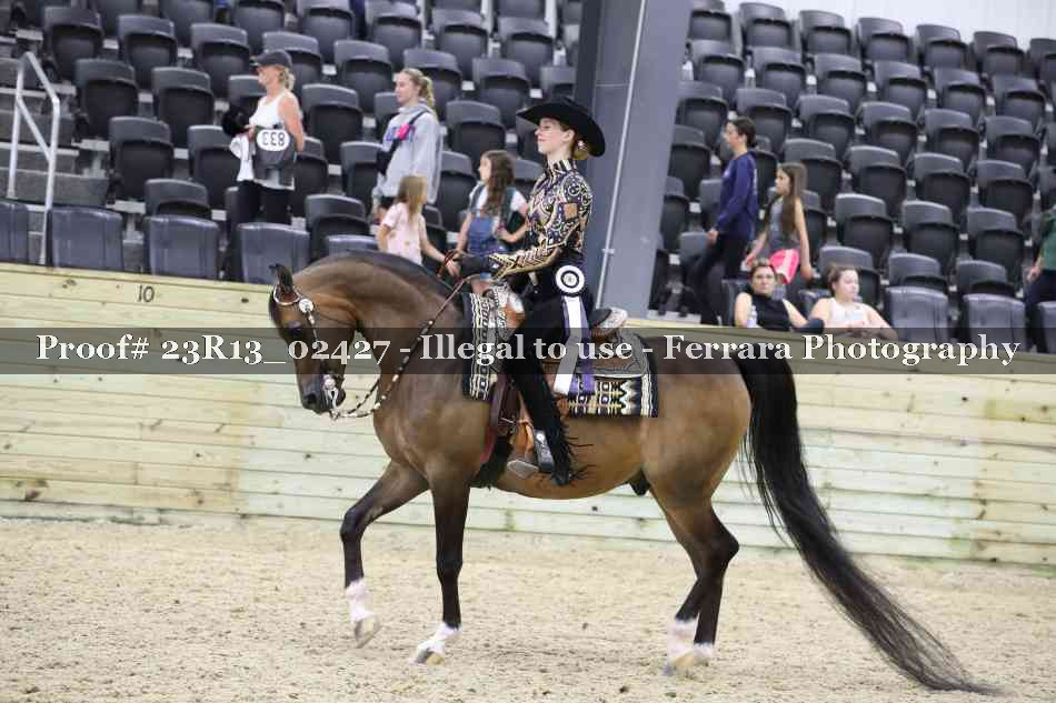 Proof 23R13_02427