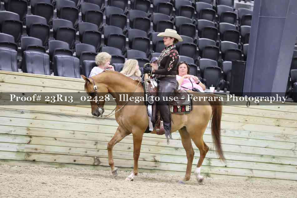 Proof 23R13_02428