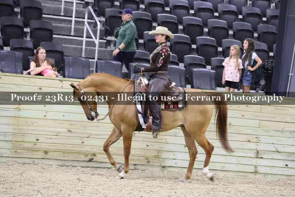 Proof 23R13_02431