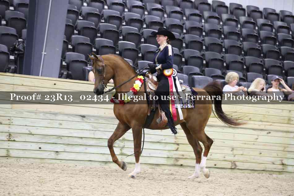 Proof 23R13_02434