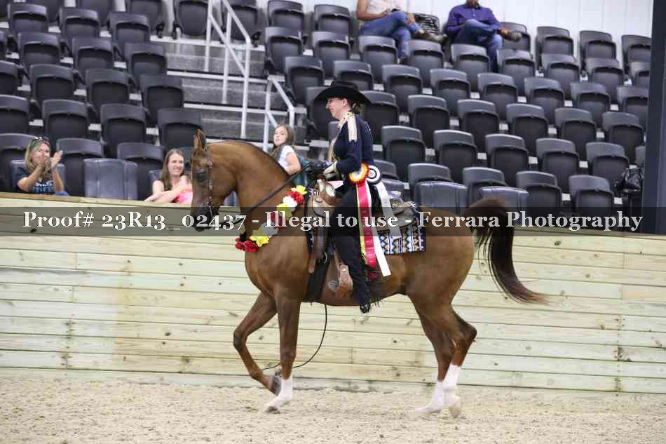 Proof 23R13_02437