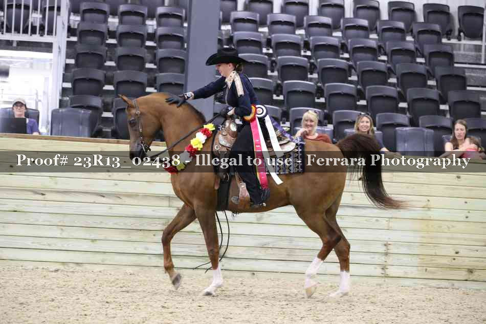 Proof 23R13_02438