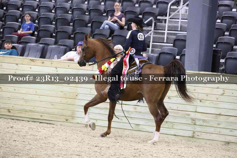 Proof 23R13_02439