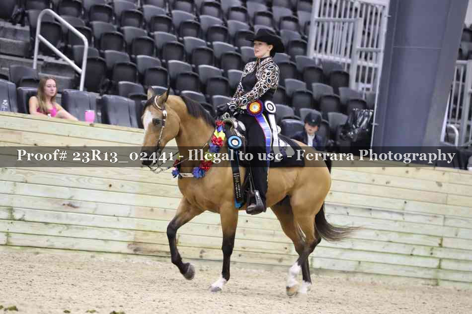 Proof 23R13_02441