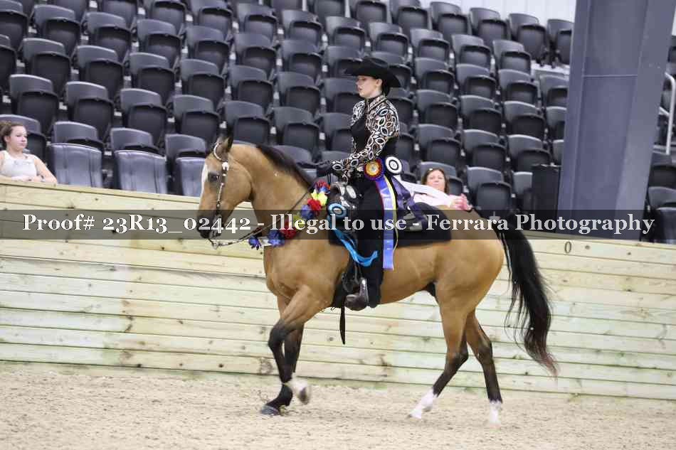 Proof 23R13_02442